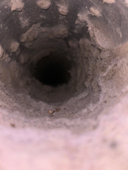 Dryer Vent Cleaning